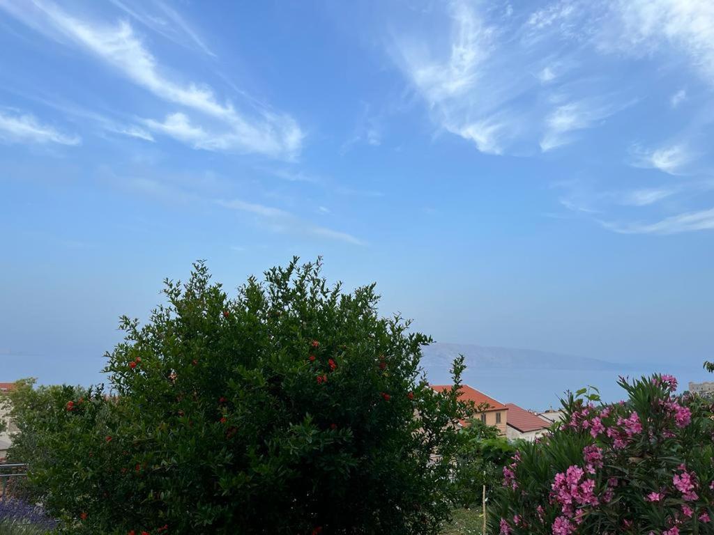 Apartment Verda Senj  Εξωτερικό φωτογραφία